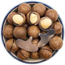 تصویر 1 از قیمت خرید فندق استرالیایی  + فروش ویژه